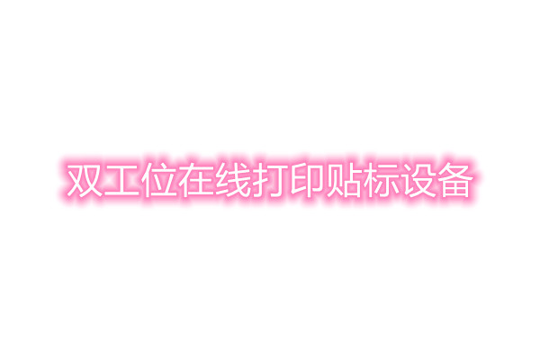 双工位在线打印贴标设备